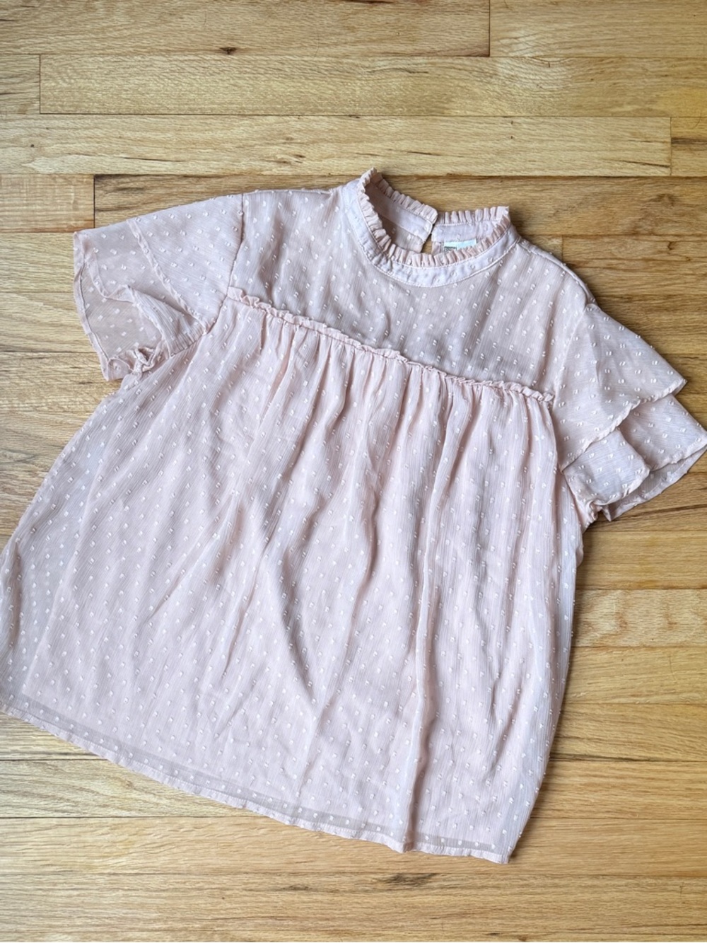 Japna Blush Pink Swiss Dot Babydoll Top